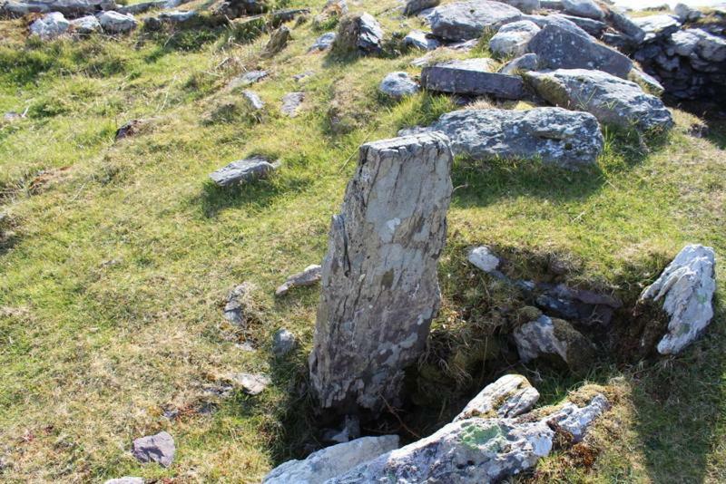 Rose Cottage Ballinskelligs Ngoại thất bức ảnh